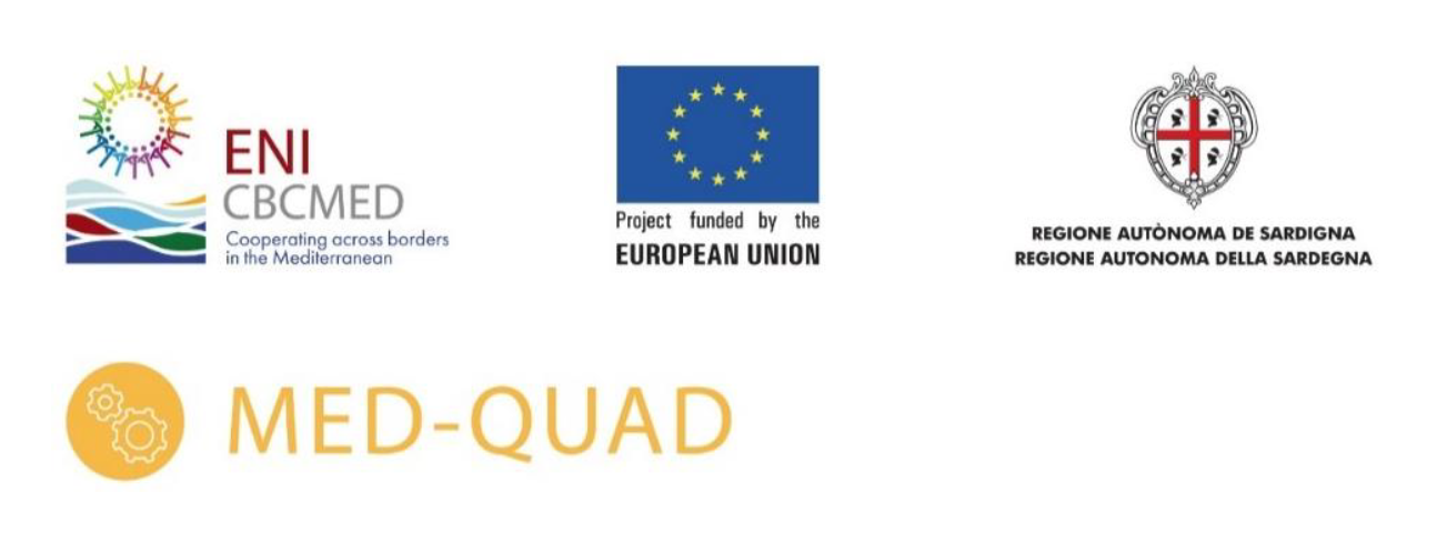 Med Quad logo